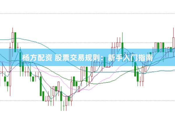 杨方配资 股票交易规则：新手入门指南
