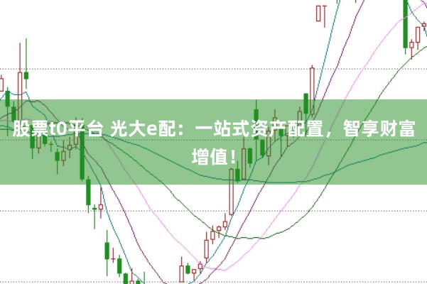 股票t0平台 光大e配：一站式资产配置，智享财富增值！