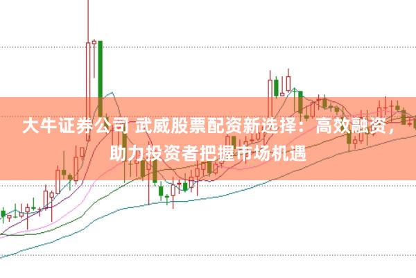 大牛证券公司 武威股票配资新选择：高效融资，助力投资者把握市场机遇