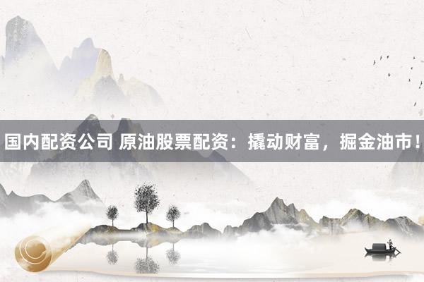 国内配资公司 原油股票配资：撬动财富，掘金油市！