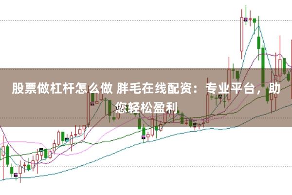 股票做杠杆怎么做 胖毛在线配资：专业平台，助您轻松盈利