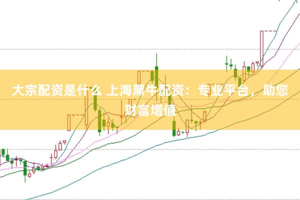 大宗配资是什么 上海黑牛配资：专业平台，助您财富增值