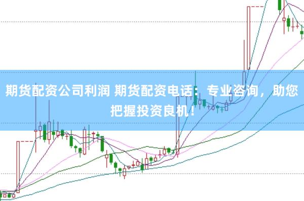 期货配资公司利润 期货配资电话：专业咨询，助您把握投资良机！