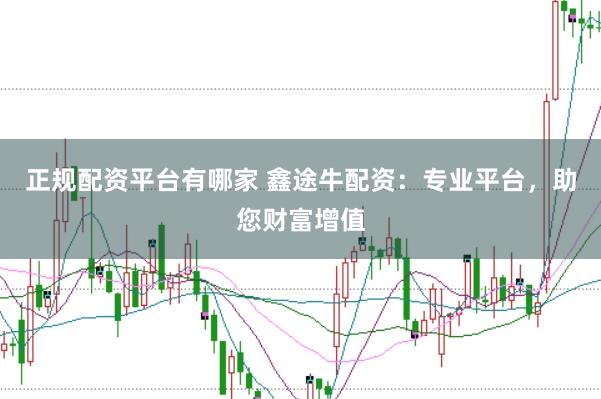 正规配资平台有哪家 鑫途牛配资：专业平台，助您财富增值