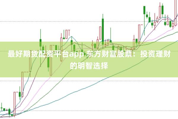 最好期货配资平台app 东方财富股票：投资理财的明智选择