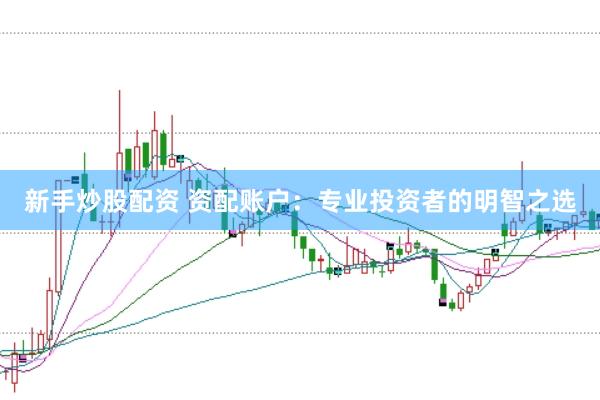 新手炒股配资 资配账户：专业投资者的明智之选