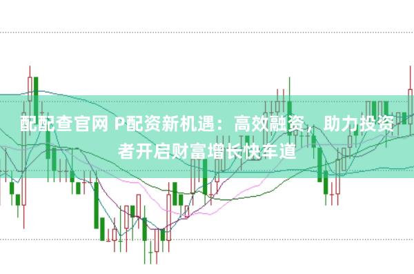 配配查官网 P配资新机遇:高效融资,助力投资者开启财富增长快车道
