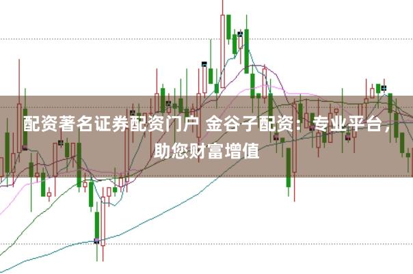 配资著名证券配资门户 金谷子配资：专业平台，助您财富增值