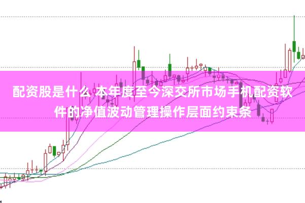 配资股是什么 本年度至今深交所市场手机配资软件的净值波动管理操作层面约束条