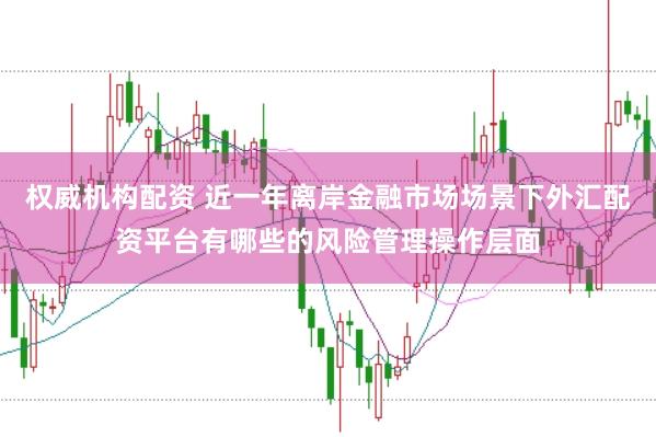 权威机构配资 近一年离岸金融市场场景下外汇配资平台有哪些的风险管理操作层面