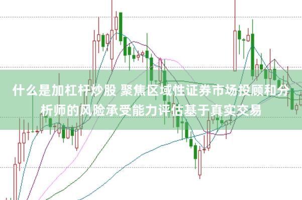 什么是加杠杆炒股 聚焦区域性证券市场投顾和分析师的风险承受能力评估基于真实交易