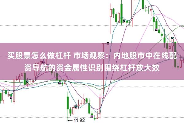 买股票怎么做杠杆 市场观察：内地股市中在线配资导航的资金属性识别围绕杠杆放大效
