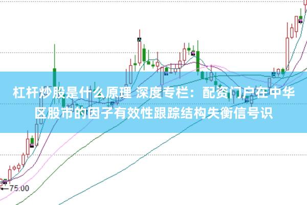 杠杆炒股是什么原理 深度专栏:配资门户在中华区股市的因子有效性跟踪结构失衡信号识