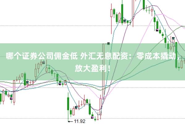 哪个证券公司佣金低 外汇无息配资：零成本撬动，放大盈利！
