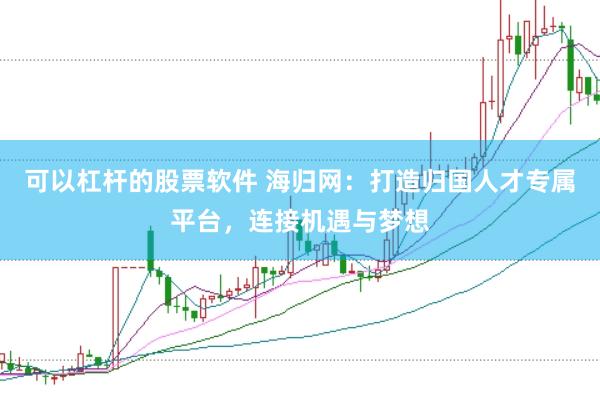可以杠杆的股票软件 海归网:打造归国人才专属平台,连接机遇与梦想