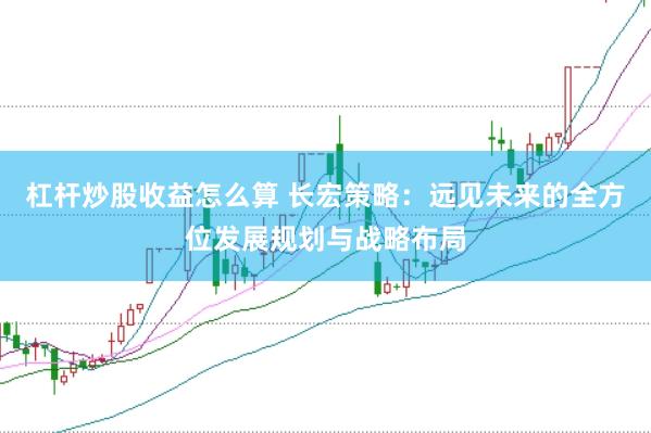 杠杆炒股收益怎么算 长宏策略：远见未来的全方位发展规划与战略布局