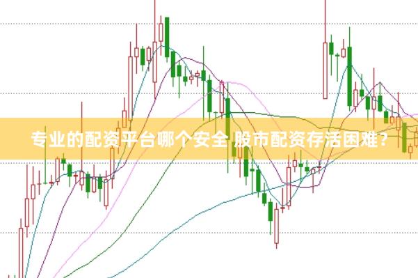 专业的配资平台哪个安全 股市配资存活困难?
