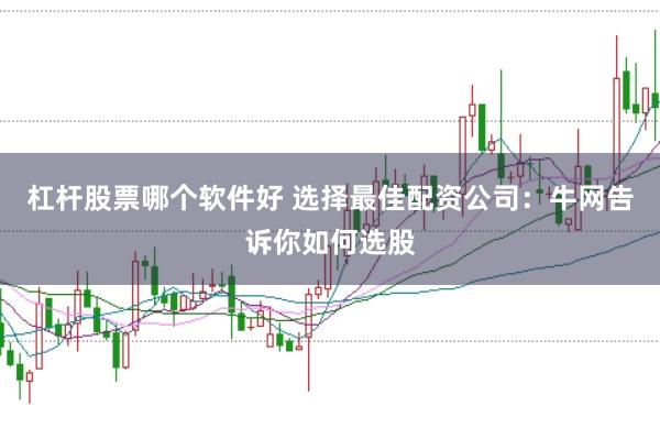 杠杆股票哪个软件好 选择最佳配资公司：牛网告诉你如何选股