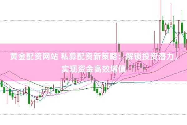 黄金配资网站 私募配资新策略:解锁投资潜力,实现资金高效增值